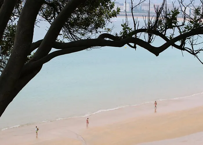 Concha - Sshousing Apartment *